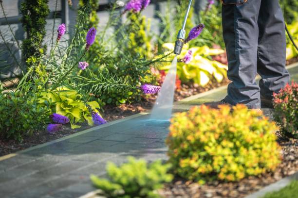 Reliable New Rochelle, NY Pressure Washing Services Solutions